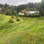 Lote en Venta en VIA AEROPUERTO, Rionegro — miniatura 2