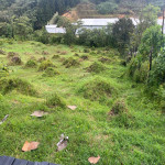 Lote en Venta en VIA AEROPUERTO, Rionegro — miniatura 4