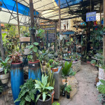 Lote en Venta en GUAYABAL, Medellín — miniatura 11