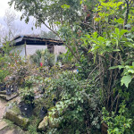 Lote en Venta en GUAYABAL, Medellín — miniatura 13
