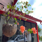 Finca en Venta en SOPETRÁN, Sopetrán — miniatura 2