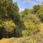 Lote en Venta en SAN JERONIMO, San Jerónimo — miniatura 10