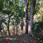 Lote en Venta en SAN JERONIMO, San Jerónimo — miniatura 11