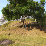 Lote en Venta en SAN JERONIMO, San Jerónimo — miniatura 5