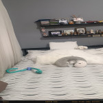 Apartamento en Venta en Belén Rosales, Medellín — miniatura 8