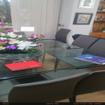 Apartamento en Venta en Belén Rosales, Medellín — miniatura 6