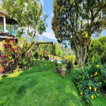 Finca en Venta en Amaga Vereda el Palenque, Amaga — miniatura 10