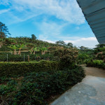 Finca en Venta en Fredonia, Fredonia — miniatura 24
