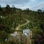 Finca en Venta en Fredonia, Fredonia — miniatura 3