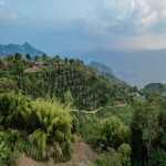 Finca en Venta en Fredonia, Fredonia — miniatura 4