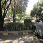 Apartamento en venta en Conquistadores, Medellín