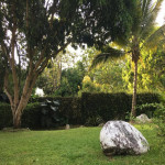 Finca en Venta en SAN JERONIMO, San Jerónimo — miniatura 3