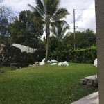 Finca en Venta en SAN JERONIMO, San Jerónimo — miniatura 4