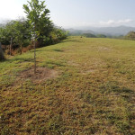 Lote en Venta en SAN JERONIMO, Sopetrán — miniatura 2