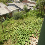 Lote en Venta en Pacora, Caldas — miniatura 12