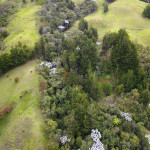 Lote en Venta en Sajonia, Rionegro — miniatura 6