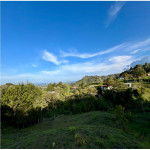 Lote en Venta en Sajonia, Rionegro — miniatura 8