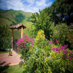 Finca en Venta en Vereda El Vergel, Ciudad Bolívar — miniatura 11
