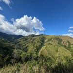 Finca en Venta en Vereda El Vergel, Ciudad Bolívar — miniatura 27