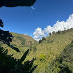 Finca en Venta en Vereda El Vergel, Ciudad Bolívar — miniatura 28