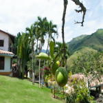 Finca en Venta en Vereda El Vergel, Ciudad Bolívar — miniatura 3
