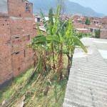 Casalote en Venta en Carmelo, Bello — miniatura 10