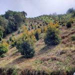 Finca en Venta en Abejorral — miniatura 6