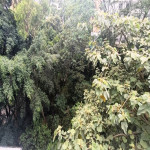 Apartamento en Venta en San Lucas, Medellín — miniatura 13