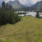 Lote en Venta en Pontezuela, Rionegro — miniatura 7