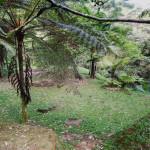 Finca en Venta en El Romedal, Sabaneta — miniatura 17