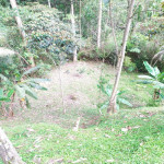 Finca en Venta en El Romedal, Sabaneta — miniatura 19