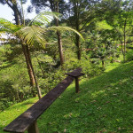 Finca en Venta en El Romedal, Sabaneta — miniatura 23