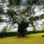 Finca en Venta en Vereda El Totumo, Girardota — miniatura 10