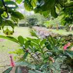 Finca en Venta en Vereda El Totumo, Girardota — miniatura 11
