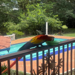 Finca en Venta en Vereda El Totumo, Girardota — miniatura 13