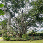 Finca en Venta en Vereda El Totumo, Girardota — miniatura 9