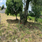 Lote en Venta en Zona Industrial, Sincelejo — miniatura 7
