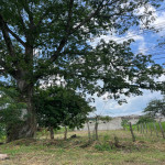 Casalote en Venta en Laureles, Medellín — miniatura 20
