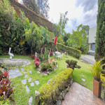 Casa en Venta en Los Balsos, Medellín — miniatura 5