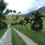 Finca en Venta en Obando, Cali — miniatura 9