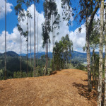 Lote en Venta en Retiro Campestre, Retiro — miniatura 16