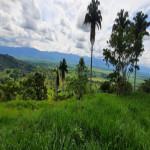 Finca en Venta en Obando, Cali — miniatura 18