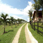 Finca en Venta en Obando, Cali — miniatura 22