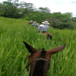 Finca en Venta en Obando, Cali — miniatura 31