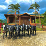 Finca en Venta en Obando, Cali — miniatura 12
