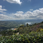 Casa en Venta en Centro, Rionegro — miniatura 60