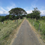 Finca en Venta en Obando, Cali — miniatura 20