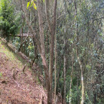 Casa en Venta en Santa Elena, Medellín — miniatura 20