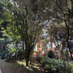 Apartamento en Venta en Comuna 14, Medellín — miniatura 13