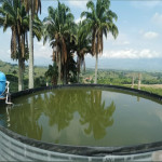 Finca en Venta en Obando, Cali — miniatura 27